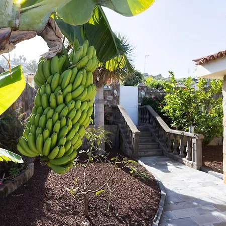 Home2book Elegant El Private Pool&bbq Villa *